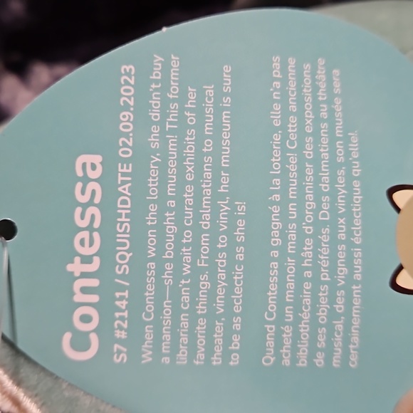 Original 🎄 Squishmallows Contessa First To Market 7 inch Raccoon - Picture 5 of 5